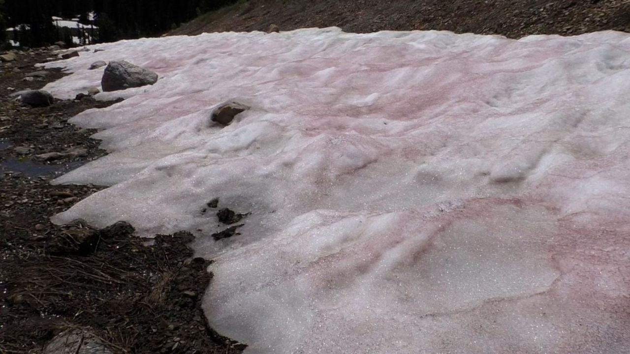 CNNE 1413246 - "nieve de sandia", ¿que es y por que aparece?