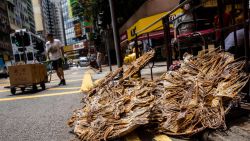 CNNE 1421371 - hong kong prohibiria importaciones pesqueras de japon