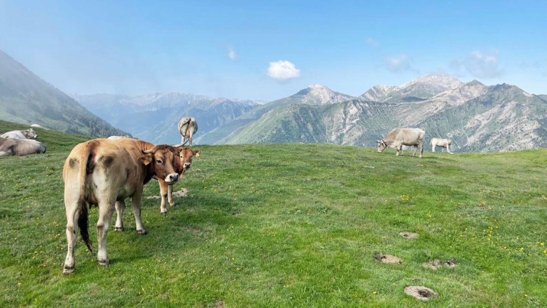 Los Pirineos en la frontera entre Francia y España fueron utilizados con frecuencia por personas que huían de la persecución.