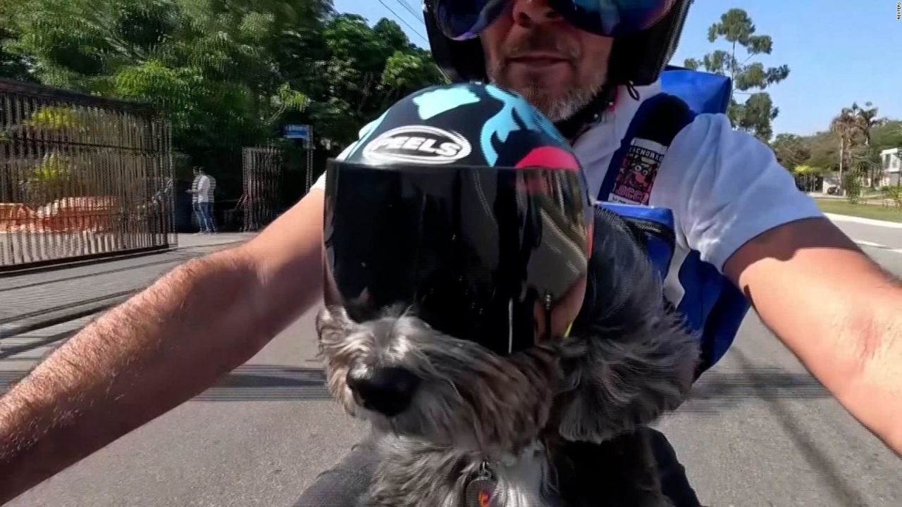 CNNE 1423356 - motociclista y su perrita ayudan a perros en brasil
