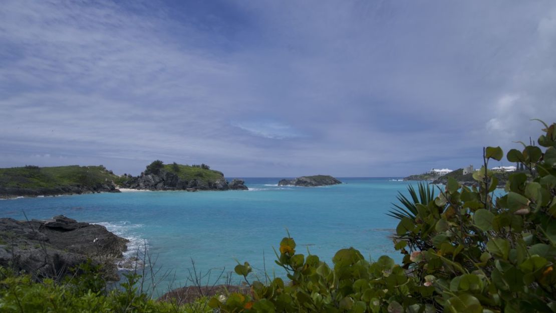 Los científicos han reintroducido los caracoles terrestres mayores y menores de las Bermudas en distintas islas del archipiélago.