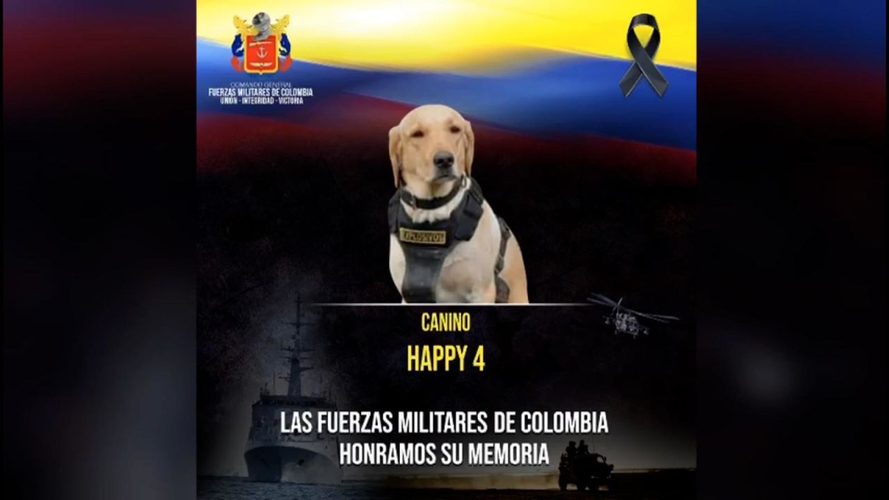 CNNE 1430325 - una explosion provoco la muerte de un perro del ejercito nacional de colombia