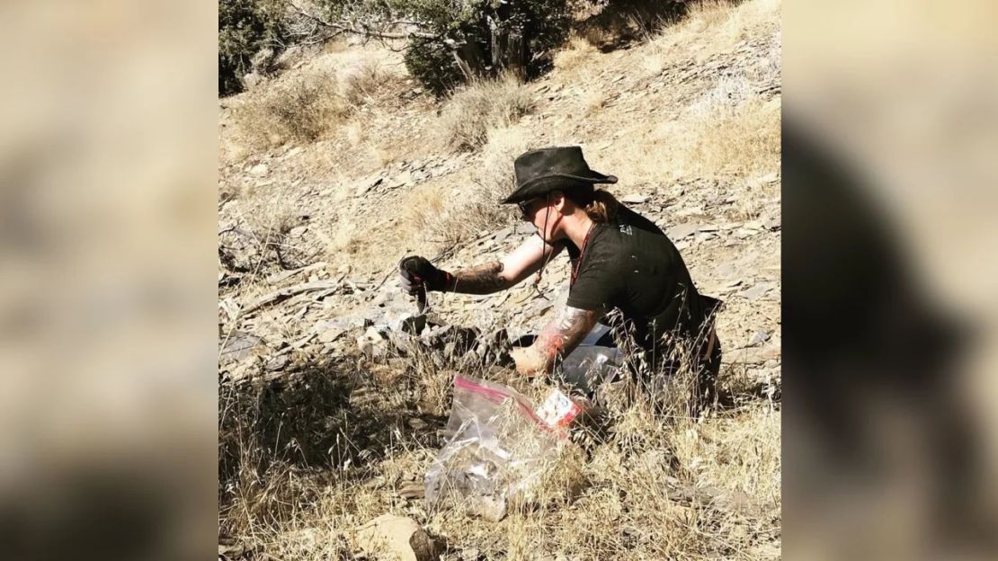 Rhiannon LaVine recolecta fósiles de uno de los afloramientos de Spence Shale en el norte de Utah.