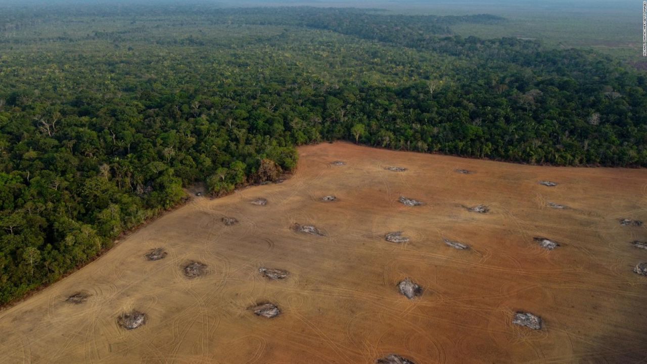 CNNE 1433131 - ¿cual es la propuesta de petro para cuidar la selva amazonica?