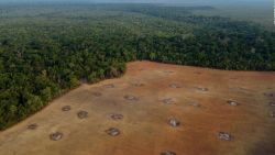 CNNE 1433131 - ¿cual es la propuesta de petro para cuidar la selva amazonica?