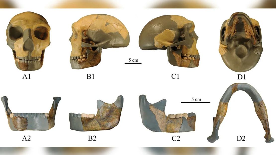 Cráneo del antiguo homínido de China. Crédito: Xiujie Wu/Centro Nacional de Investigación sobre la Evolución Humana