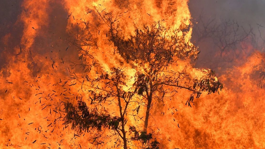 Un incendio forestal fuera de control que comenzó a lo largo de una carretera principal de Maui Central arde el jueves 11 de julio de 2019, en Maui, Hawai. Crédito: Matthew Thayer/The Maui News/AP