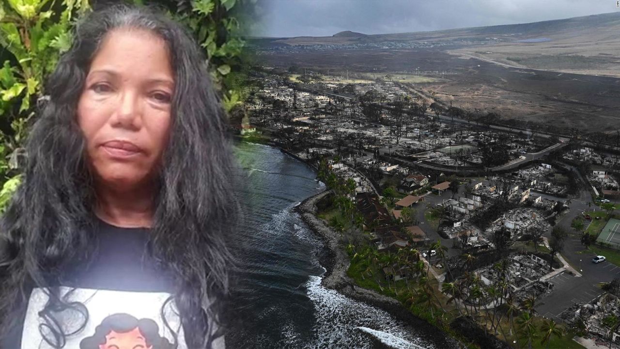 CNNE 1435316 - ¿como afectan los incendios de maui la economia local?