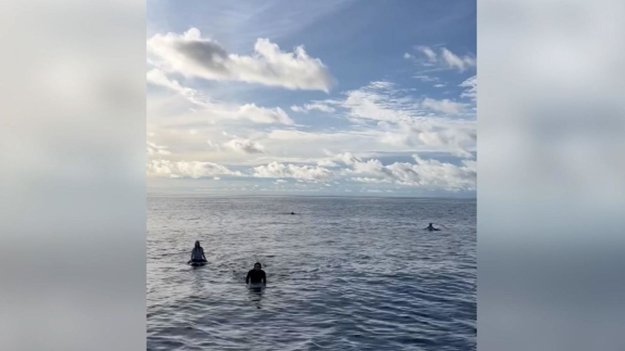 CNNE 1436461 - encuentran a surfistas tras 38 horas perdidos en el mar