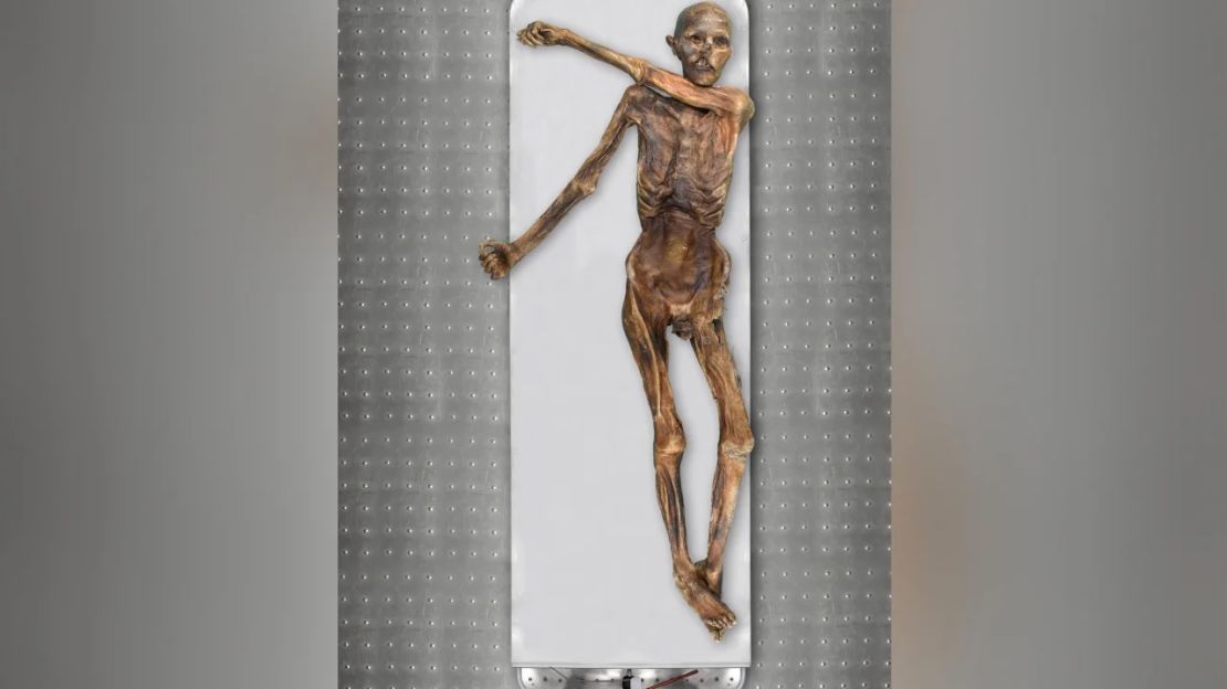 El cuerpo momificado de Ötzi es quizás el hallazgo arqueológico más estudiado del mundo.