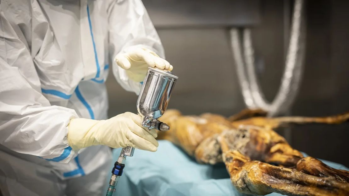 Un experto humidifica la momia de Ötzi en el Museo de Arqueología del Tirol del Sur.