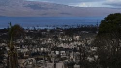 Casas consumidas en los recientes incendios forestales se ven en Lahaina, Hawai, el miércoles 16 de agosto de 2023. 
Los incendios forestales han devastado partes de la isla hawaiana de Maui. Crédito: Jae C. Hong/AP