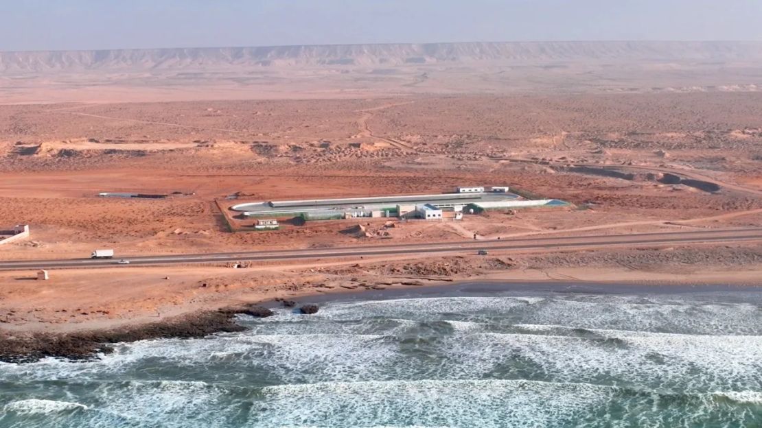 Planta piloto de Brilliant Planet en Akhfenir (Marruecos). La empresa ha arrendado más de 6.000 hectáreas y tiene previsto ampliar sus operaciones a lo largo de la década. Crédito: Cortesía de Brilliant Planet