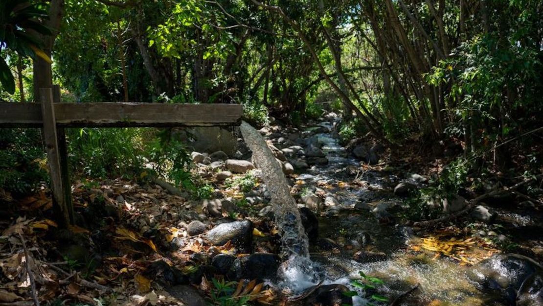 Un canal que se precipita se ve en la granja familiar de Hokuao Pelligrino, en Wailuku, en Maui, el 20 de agosto de 2023.