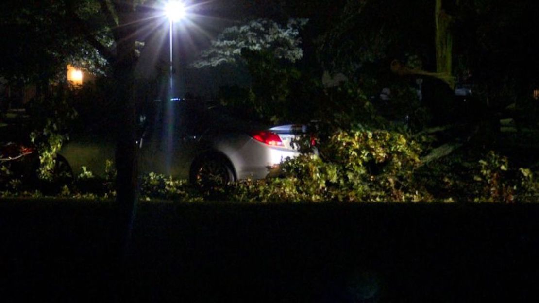 Un árbol fue derribado por las tormentas en Lansing, Michigan, el viernes 25 de agosto.