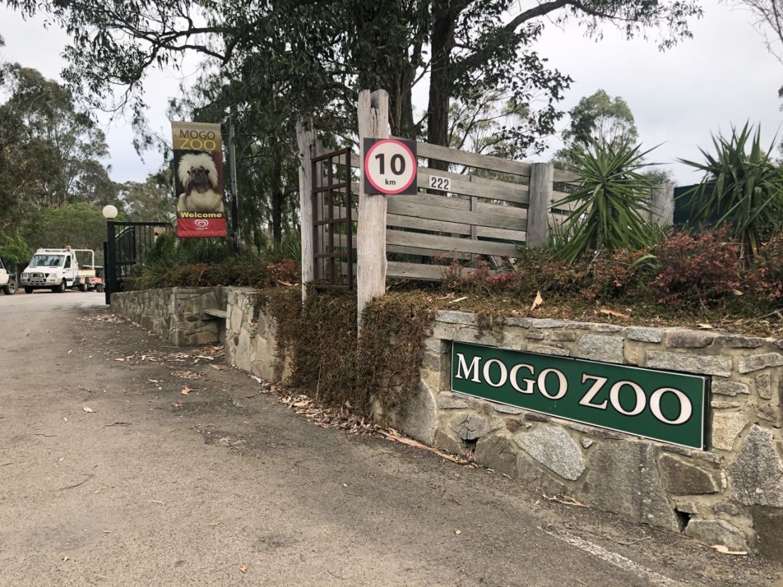 Mogo Wildlife Park está situado en una pequeña ciudad del mismo nombre en la costa de Nueva Gales del Sur, Australia. Crédito: Hilary Whiteman/CNN