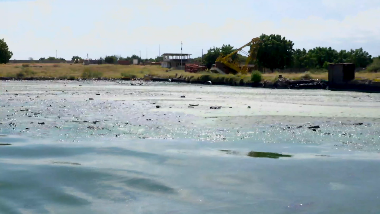 CNNE 1444245 - asi luce el lago de maracaibo a causa de una fuga de petroleo