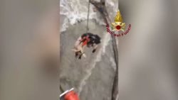 CNNE 1445945 - bomberos rescatan animales atrapados en la crecida de un rio en italia