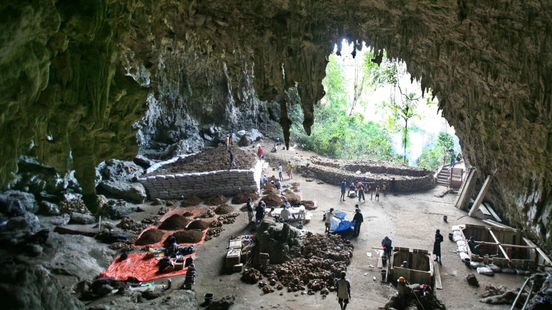 El sitio de excavación de la cueva Liang Bua, donde se descubrieron los fósiles de Homo floresiensis en la isla de Flores en Indonesia.