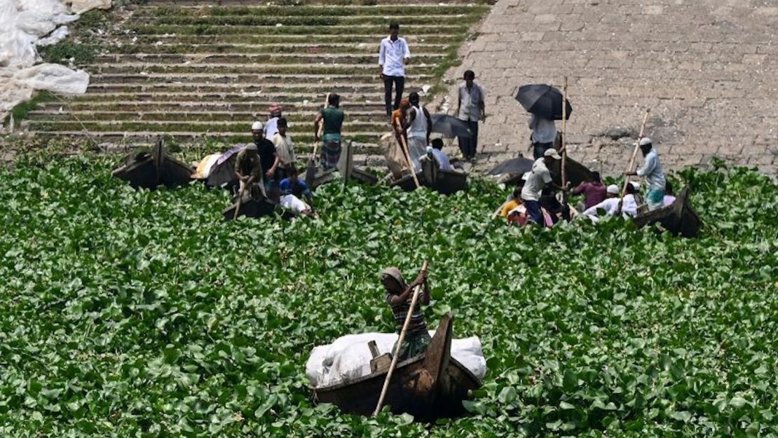 Barqueros navegan entre jacintos de agua en el río Buriganga en Dhaka, Bangladesh, el 6 de junio.