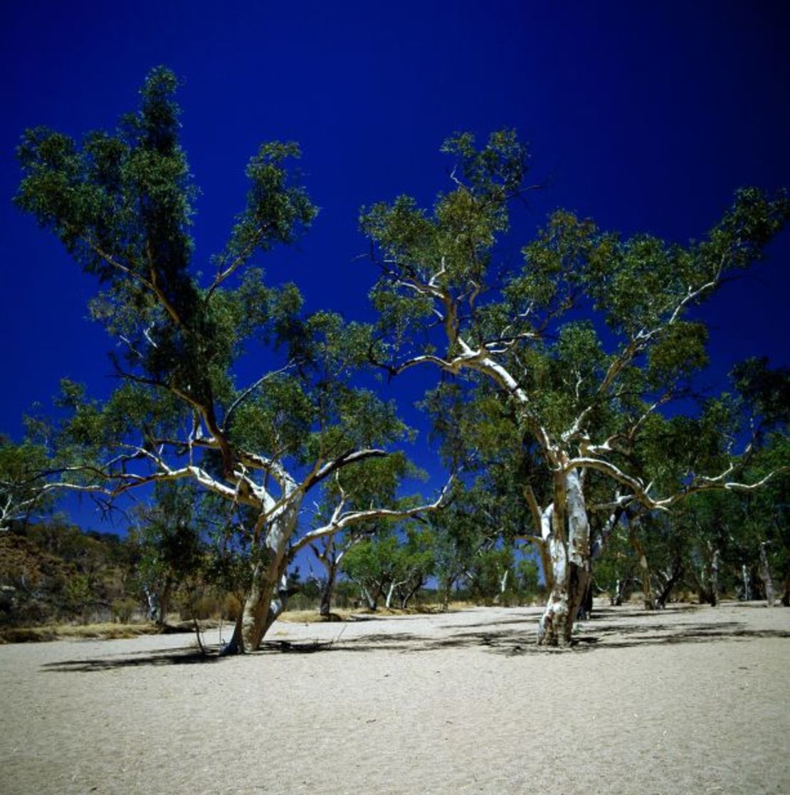 Con una superficie de 36.000 kilómetros cuadrados, el Parque Nacional del Desierto de Munga-Thirri-Simpson protege los bellísimos paisajes desérticos del extremo norte de Australia Meridional. Crédito: P. Jaccod/De Agostini/Getty Images