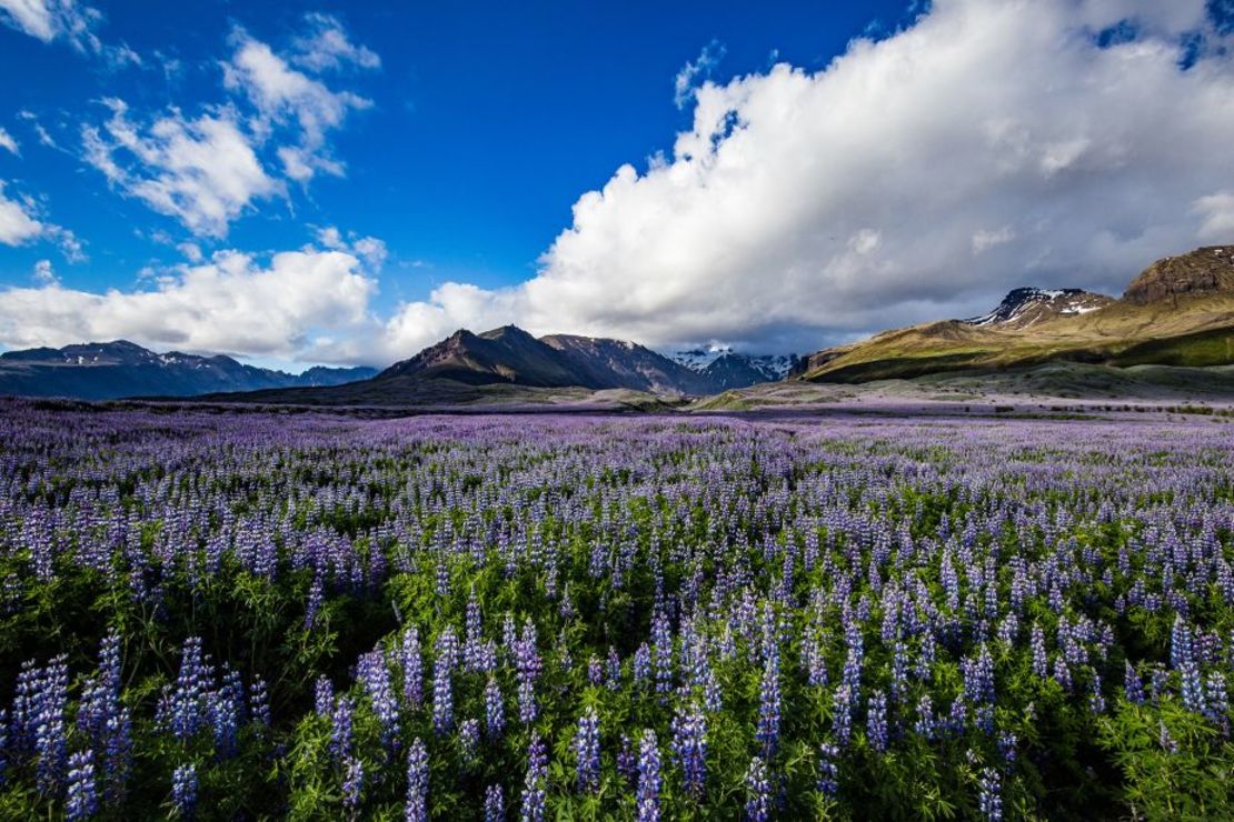 Parque Nacional de Vatnajökull, en Islandia. Crédito: Madalin Olariu/iStockphoto/Getty Images