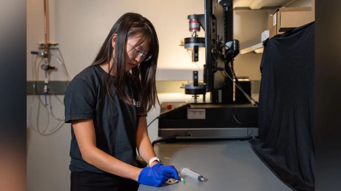 Faye Yap, estudiante de posgrado de la Universidad Rice, con una araña lobo muerta lista para utilizarla como pinza necrobótica. Crédito: Brandon Martin/Universidad de Rice