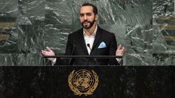 CNNE 1453388 - ¿por que se oponen a la reeleccion de nayib bukele?