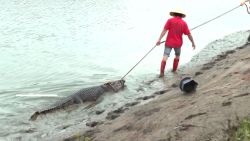 CNNE 1453398 - inundacion en china provoca busqueda de mas de 70 cocodrilos