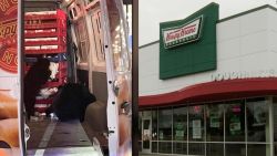 CNNE 1454215 - familia de osos saquean camioneta de krispy kreme