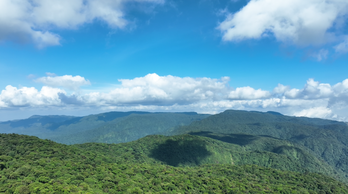 Los ricos ecosistemas de Costa Rica también se ven afectados por el cambio climático.