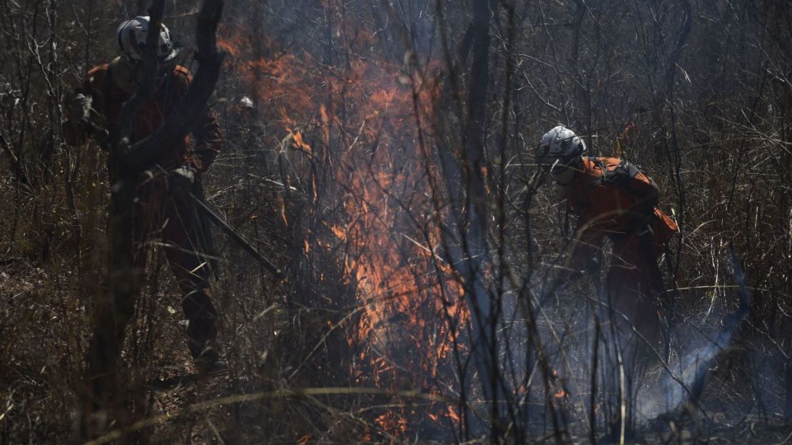 Bomberos combaten un incendio en la zona forestal de Serra do Coco, en Riachão das Neves, estado de Bahía, Brasil, el 22 de septiembre.