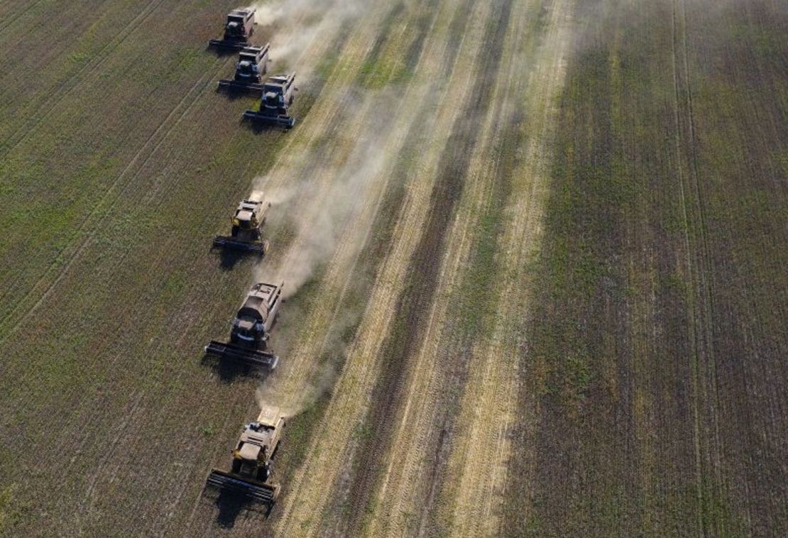 Cosechadoras de trigo en la región siberiana de Novosibirsk, en septiembre.