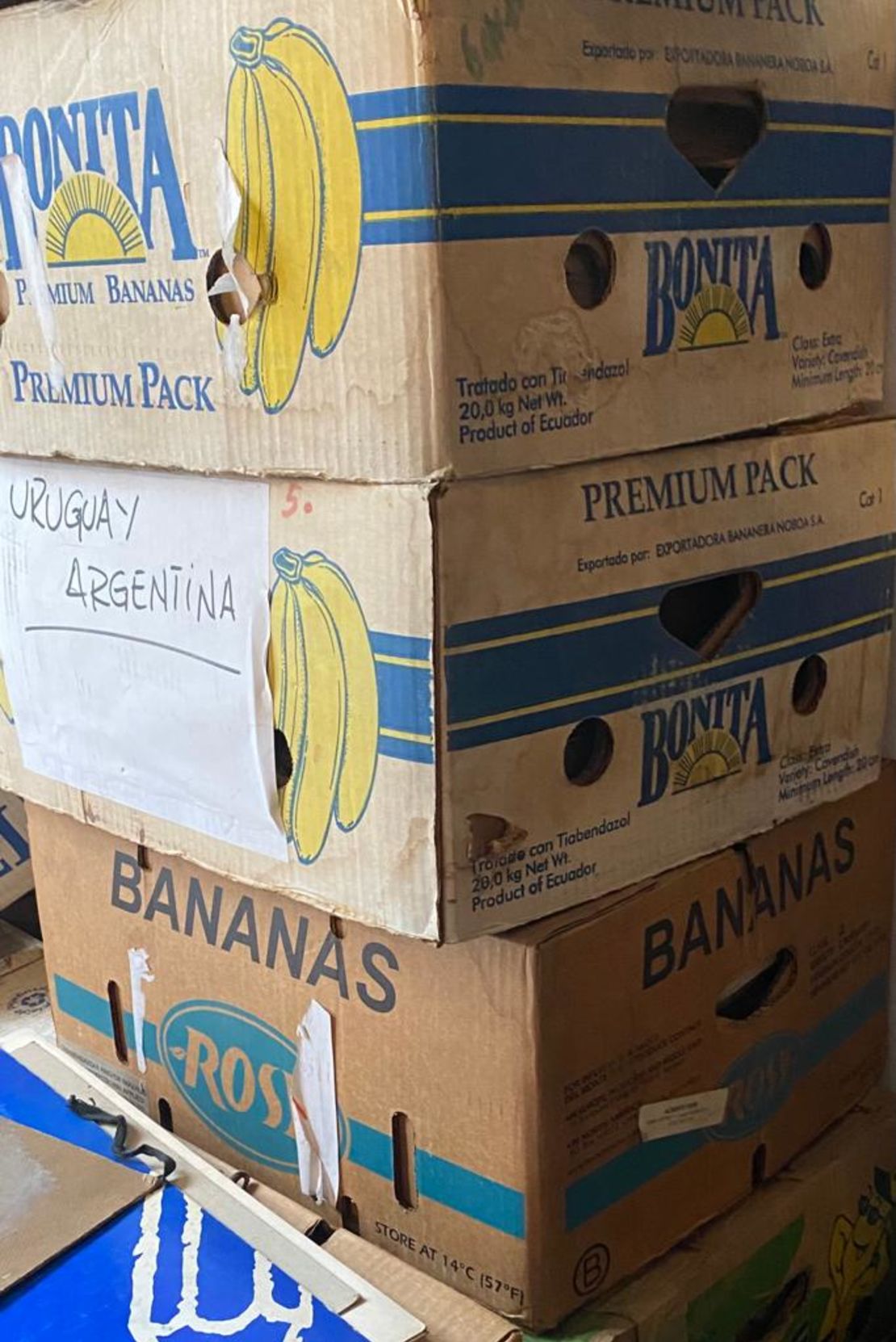 En estas cajas de bananos había escondido un tesoro