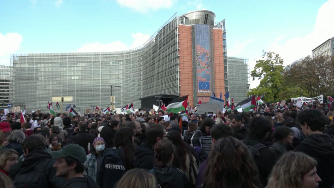 CNNE 1481245 - partidarios palestinos protestan frente a la sede de la union europea