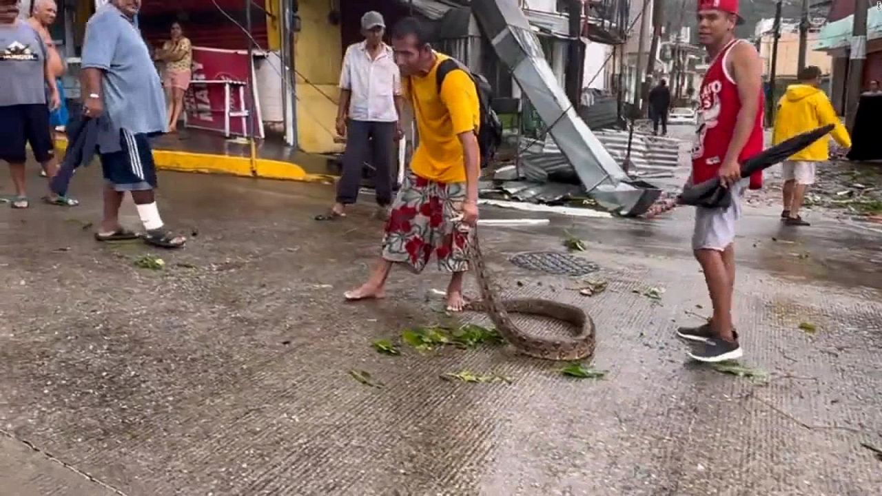 CNNE 1484086 - capturan una serpiente en las calles de acapulco tras el huracan otis