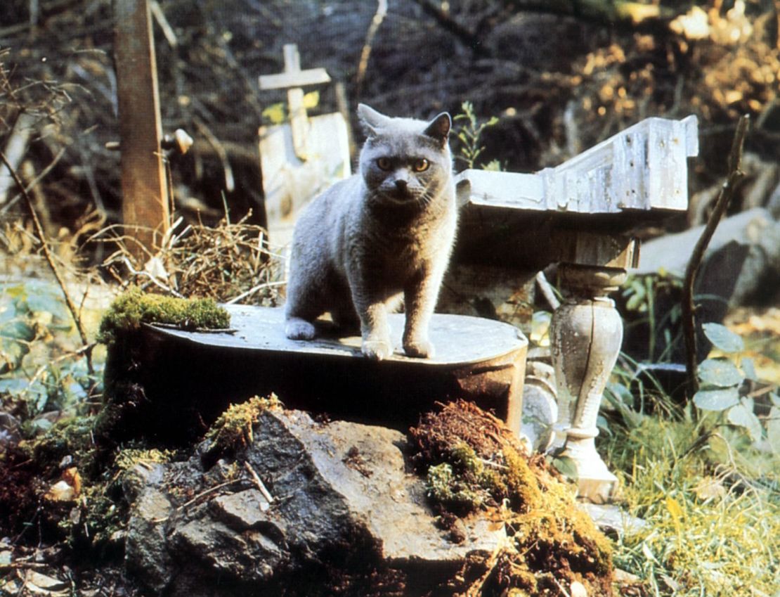 "Cementerio de animales"