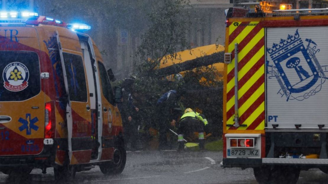 Bomberos y agentes de la Policía Municipal trabajan alrededor del árbol que se desplomó y que mató a una mujer.