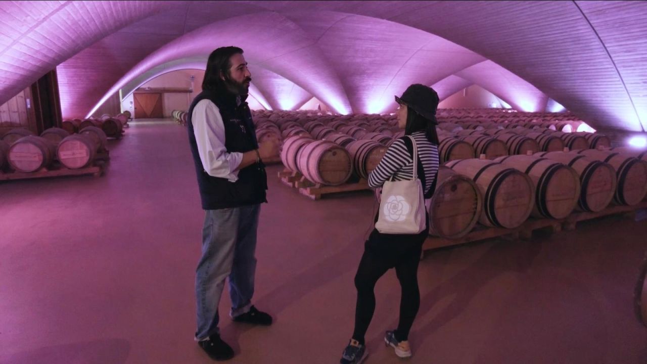 CNNE 1487549 - el vino y el arte coexisten en una bodega