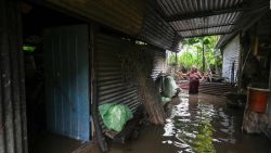 CNNE 1487638 - el impacto de pilar en la agricultura de el salvador