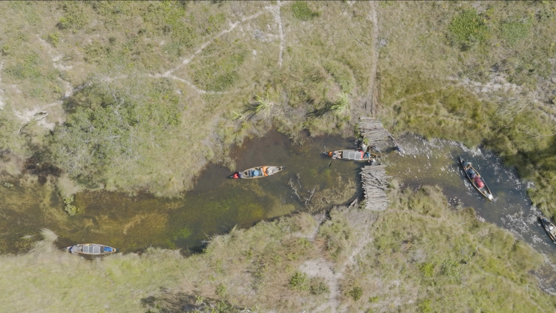Boyle y su grupo fueron los primeros en adentrarse en la cuencia del Okavango.