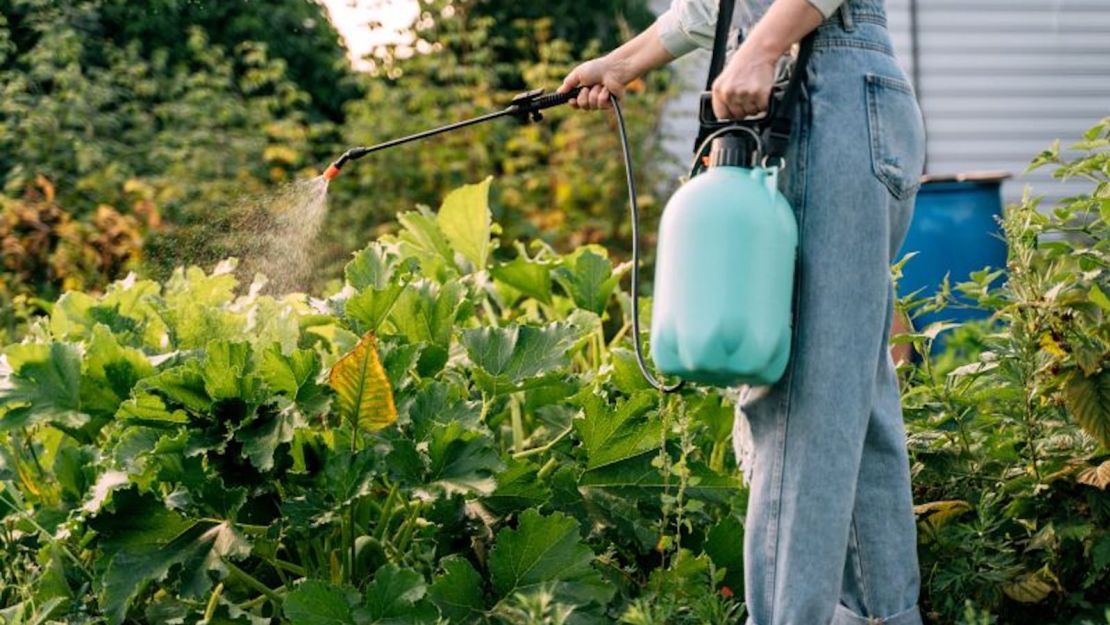 Los expertos sugieren ser conscientes de la exposición a pesticidas en casa y en los alimentos.