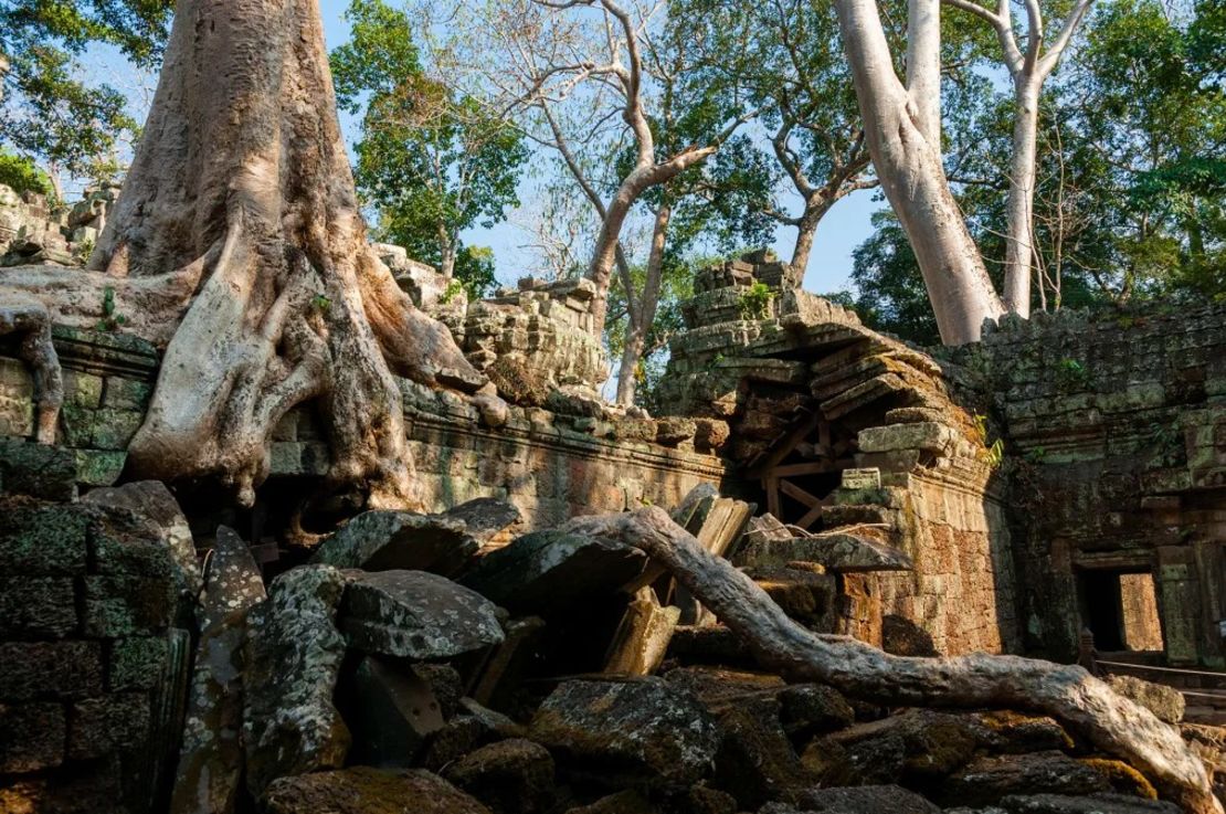 Originalmente conocido como Rajavihara (templo real), Ta Prohm se construyó en honor de la familia del rey Jayavarman VII. Crédito: Alexander Arndt/Alamy Stock Photo