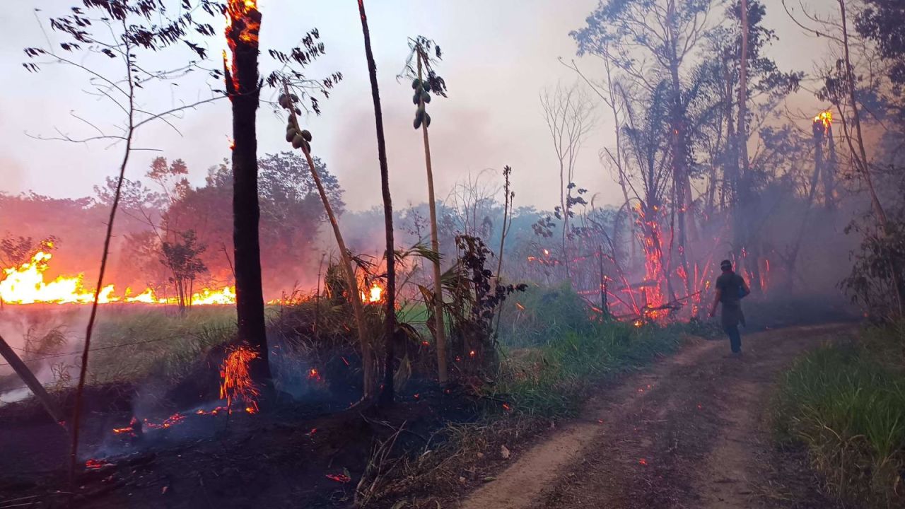 CNNE 1512763 - leyes incendiarias dan tierras a cambio de votos, acusa legislador