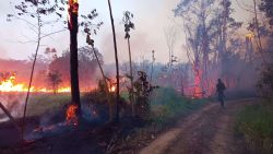 CNNE 1512763 - leyes incendiarias dan tierras a cambio de votos, acusa legislador