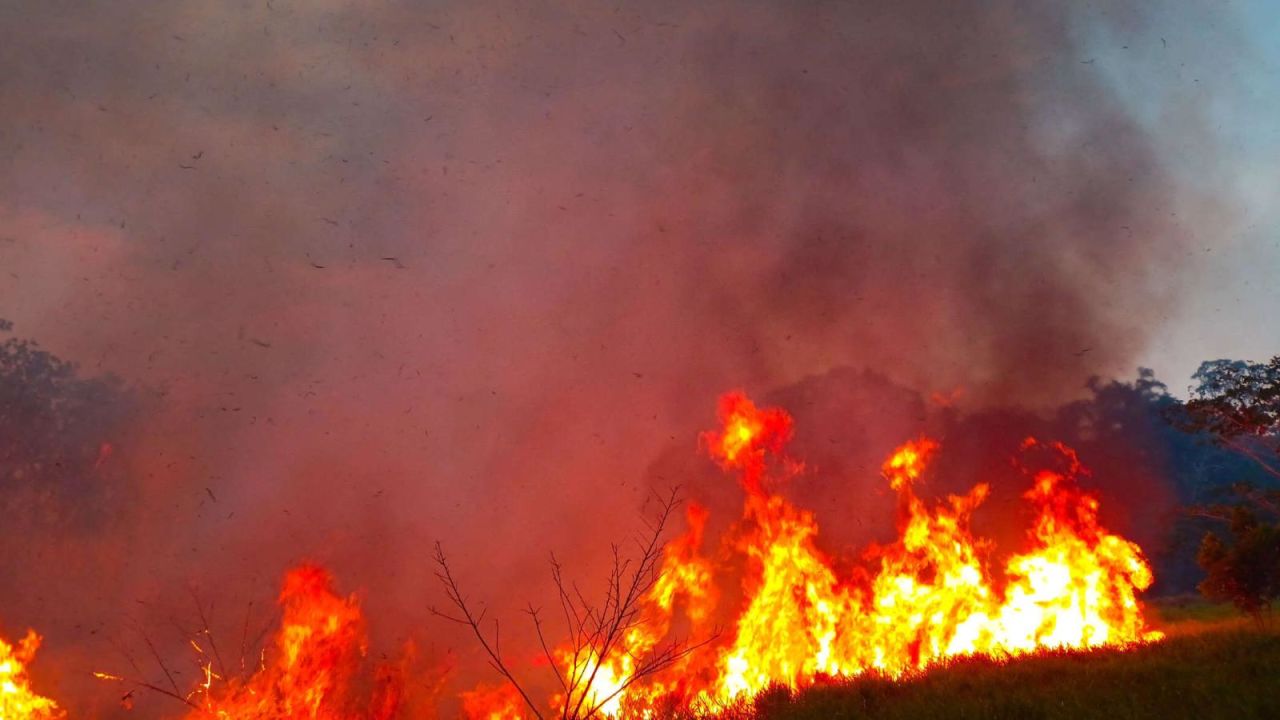 CNNE 1513754 - bolivia- piden apoyo de onu contra "leyes incendiarias"