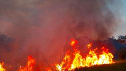 CNNE 1513754 - bolivia- piden apoyo de onu contra "leyes incendiarias"