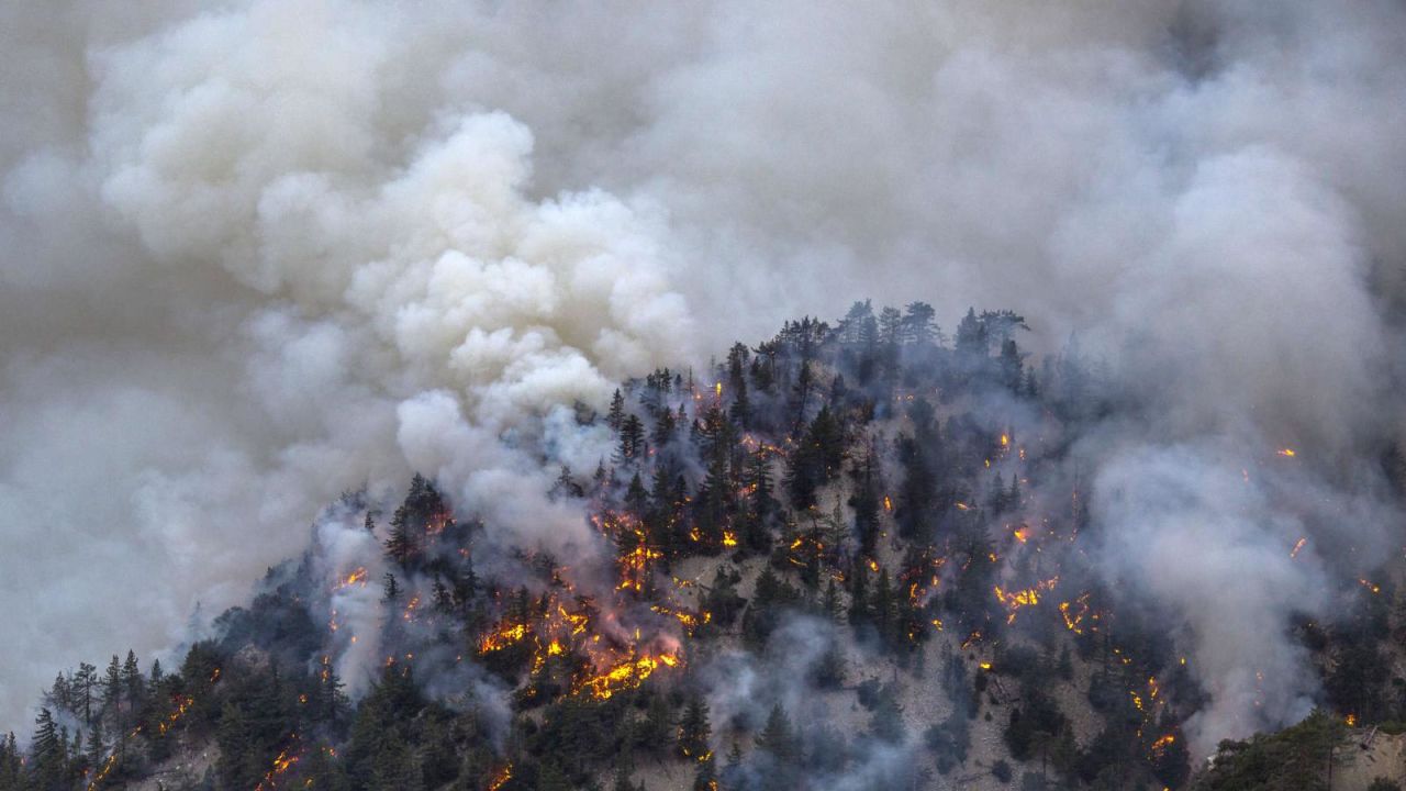 CNNE 1513878 - america latina y el caribe ante la crisis climatica