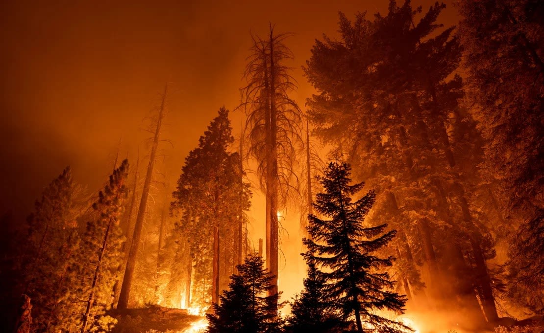 En esta fotografía de septiembre de 2021, el Windy Fire arde a través de Long Meadow Grove de secuoyas gigantes cerca del Sendero de los 100 Gigantes durante la noche, en el parque nacional Sequoya.