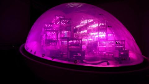 CNNE 1515549 - esta capsula podria ayudar a cultivar plantas en marte